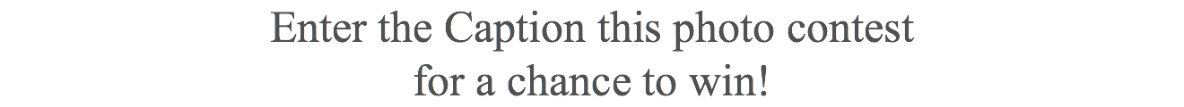 Enter the Caption this photo contest  for a chance to win!